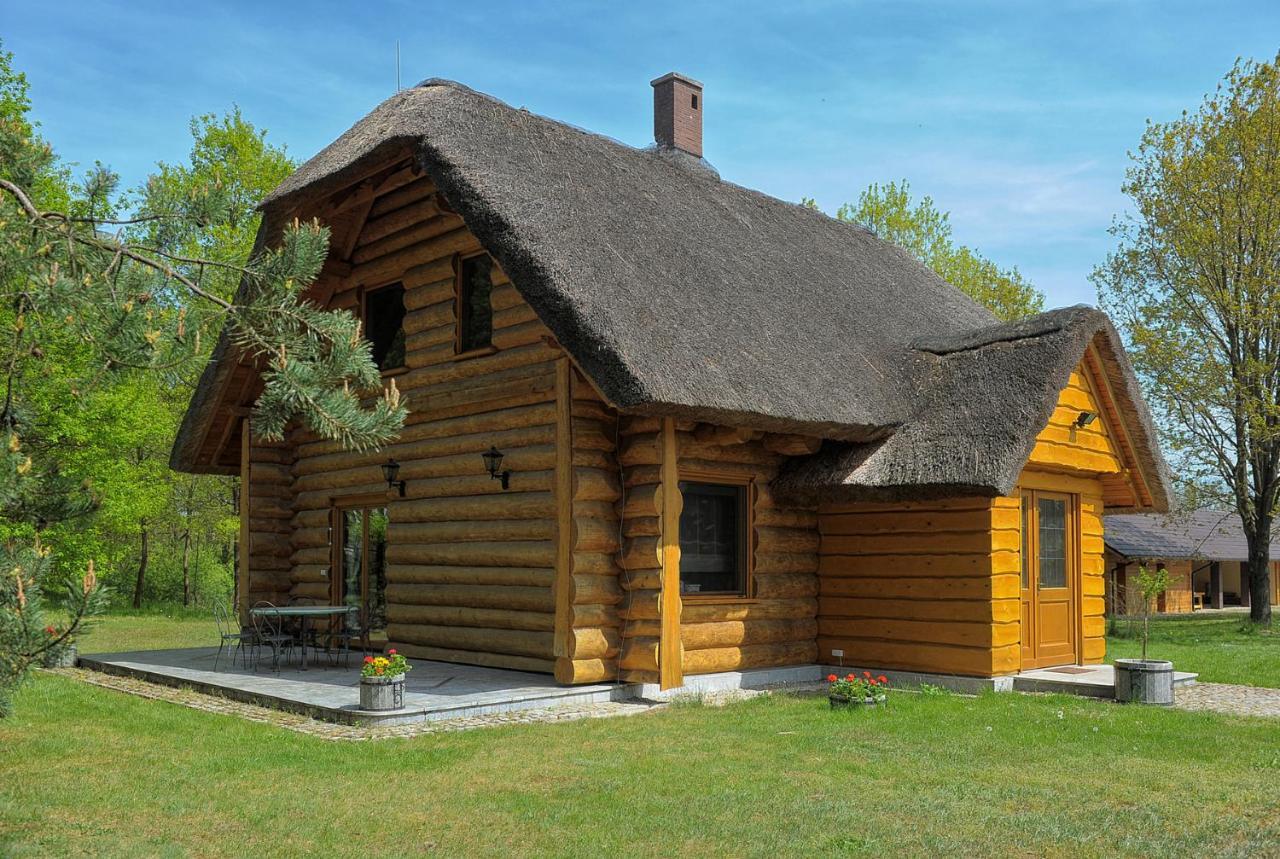 Dom Pod Sosnami Villa Gryzyna ภายนอก รูปภาพ