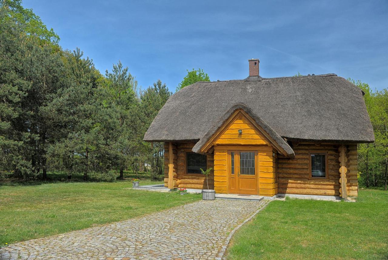Dom Pod Sosnami Villa Gryzyna ภายนอก รูปภาพ